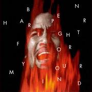 Le texte musical FIGHT FOR YOUR MIND de BEN HARPER est également présent dans l'album Fight for your mind (1995)