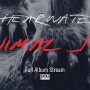 Le texte musical IMMACULATE de SHEARWATER est également présent dans l'album Animal joy (2012)