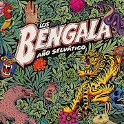 Le texte musical SALVAJE (LOS SAICOS) de BENGALA est également présent dans l'album Año selvático (2017)