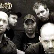 Le texte musical MOURNING AFFLICTION de BENIGHTED est également présent dans l'album Identisick (2006)