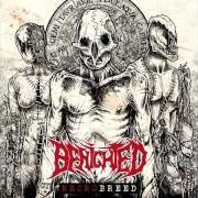 Le texte musical REEKS OF DARKENED ZOOPSIA de BENIGHTED est également présent dans l'album Necrobreed (2017)