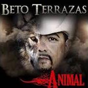 Le texte musical MILLON DE LAGRIMAS de BETO TERRAZAS est également présent dans l'album Con los pies en la tierra (2006)