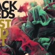 Le texte musical LOVE ME NOW de THE BLACK SEEDS est également présent dans l'album Dust and dirt (2012)