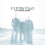 Le texte musical IT'S ALL ABOUT YOU de BIG DADDY WEAVE est également présent dans l'album What i was made for (2005)