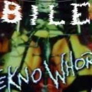 Le texte musical GREEN DAY de BILE est également présent dans l'album Teknowhore (1996)