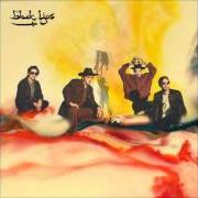 Le texte musical YOU KEEP ON RUNNING de BLACK LIPS est également présent dans l'album Arabia mountain (2011)