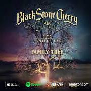 Le texte musical DANCIN' IN THE RAIN de BLACK STONE CHERRY est également présent dans l'album Family tree (2018)