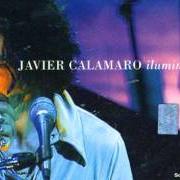Le texte musical MENTIRAS Y VANIDAD de JAVIER CALAMARO est également présent dans l'album Iluminado (2001)