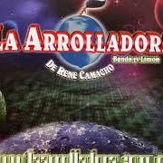Le texte musical LA VENGANZA DEL TAHUR de LA ARROLLADORA BANDA EL LIMON est également présent dans l'album Pa adoloridos (2001)