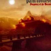 Le texte musical MY LAST WORDS de PAIN CONFESSOR est également présent dans l'album Purgatory of the second sun