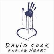 Le texte musical FALL BACK INTO ME de DAVID COOK est également présent dans l'album Analog heart (2006)