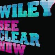 Le texte musical CANT STOP THINKING de WILEY est également présent dans l'album See clear now (2008)
