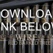 Le texte musical BAD WORM THING de WIRE est également présent dans l'album Red barked tree (2011)