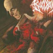 Le texte musical DRAPED IN DISEASE de BLOODBATH est également présent dans l'album Nightmares made flesh (2004)