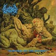 Le texte musical BORN INFERNAL (FEAT. LUC LEMAY) de BLOODBATH est également présent dans l'album Survival of the sickest (2022)