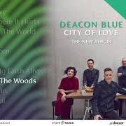 Le texte musical LOOK UP de DEACON BLUE est également présent dans l'album Riding on the tide of love (2021)