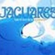 Le texte musical EL MILAGRO de JAGUARES est également présent dans l'album Bajo el azul de tu misterio 1 (1999)