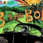 Le texte musical HIGH TIDE OR LOW TIDE de BOB MARLEY est également présent dans l'album B is for bob (2009)