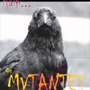 Le texte musical NADA MUDOU de OS MUTANTES est également présent dans l'album Haih or amortecedor (2009)