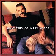 Le texte musical SWEETWATER de AARON TIPPIN est également présent dans l'album What this country needs (1998)