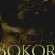 Le texte musical MIGRATING de BOKOR est également présent dans l'album Anomia 1 (2007)