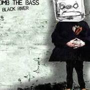 Le texte musical LIME IN DA COCONUT de BOMB THE BASS est également présent dans l'album !K7 audio files (2008)