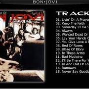 Le texte musical IN THESE ARMS de BON JOVI est également présent dans l'album Cross road (1994)