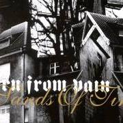 Le texte musical SCORCHED EARTH de BORN FROM PAIN est également présent dans l'album War (2006)