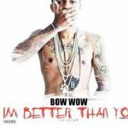 Le texte musical 2 YOUNG 2 GIVE A FUCK de BOW WOW est également présent dans l'album Im better than you (2011)
