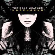 Le texte musical WILL THERE BE ENOUGH WATER de THE DEAD WEATHER est également présent dans l'album Horehound (2009)