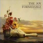 Le texte musical TENDONS de THE JOY FORMIDABLE est également présent dans l'album Silent treatment (2013)