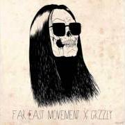 Le texte musical THE ILLEST de FAR EAST MOVEMENT est également présent dans l'album Grzzly (2013)