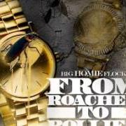 Le texte musical RAINY DAYZ de WAKA FLOCKA FLAME est également présent dans l'album From roaches to rollies (2013)