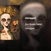 Le texte musical JUMP RIGHT IN de ZAC BROWN BAND est également présent dans l'album Uncaged (2012)