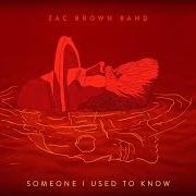 Le texte musical NEED THIS de ZAC BROWN BAND est également présent dans l'album The owl (2019)