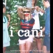 Le texte musical THEME FROM THE CAMERETTA de I CANI est également présent dans l'album Il sorprendente album d'esordio dei cani (2011)