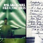 Le texte musical EVIL FLOWER de NOEL GALLAGHER est également présent dans l'album This is the place (2019)