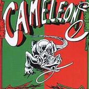 Le texte musical AMIGO AH de LES CAMÉLÉONS est également présent dans l'album Viva la fiesta (1995)