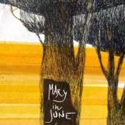Le texte musical ALL'INTERNO de MARY IN JUNE est également présent dans l'album Ferirsi (2011)
