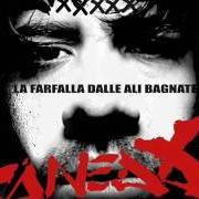 Le texte musical ICARO de CANEDA est également présent dans l'album La farfalla dalle ali bagnate (2009)