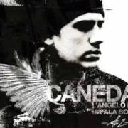 Le texte musical LANCETTE de CANEDA est également présent dans l'album L'angelo da un'ala sola (2006)