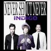 Le texte musical SORRY de NEVER SHOUT NEVER est également présent dans l'album Indigo (2013)