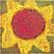 Le texte musical OLD-TIMER de NEVER SHOUT NEVER est également présent dans l'album Sunflower (2013)
