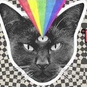 Le texte musical HEY! WE OK de NEVER SHOUT NEVER est également présent dans l'album Black cat (2015)