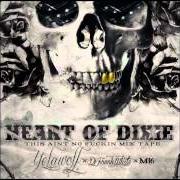 Le texte musical BIG NUTZ de YELAWOLF est également présent dans l'album Heart of dixie (2012)