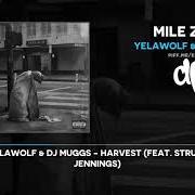 Le texte musical FLEA MARKET de YELAWOLF est également présent dans l'album Mile zero (2021)