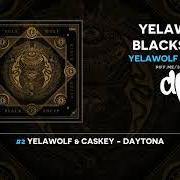 Le texte musical DAYTONA de YELAWOLF est également présent dans l'album Yelawolf blacksheep (2021)