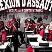 Le texte musical INTRO (EN RÉSUMÉ) de SEXION D'ASSAUT est également présent dans l'album L'école des points vitaux (2010)