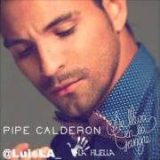 Le texte musical TUS RECUERDOS SON MI DIOS de PIPE CALDERON est également présent dans l'album Mi mundo (2010)