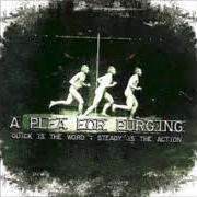 Le texte musical -INTERLUDE- de A PLEA FOR PURGING est également présent dans l'album Quick is the word ; steady is the action - ep (2007)
